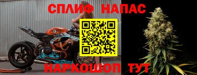 прущие грибы Чебаркуль