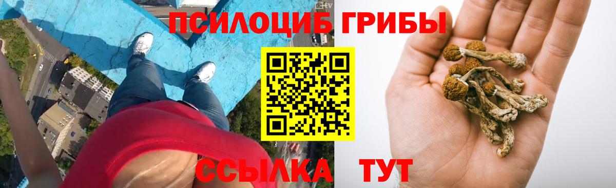 Псилоцибиновые грибы ЛСД Ачинск